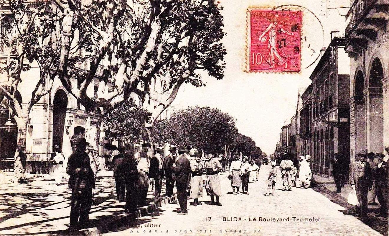 1266- Blida - Boulevard Trumelet.jpg